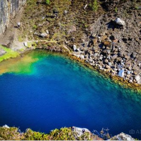 Meet your Posher, Dee - Picture 1 of 1